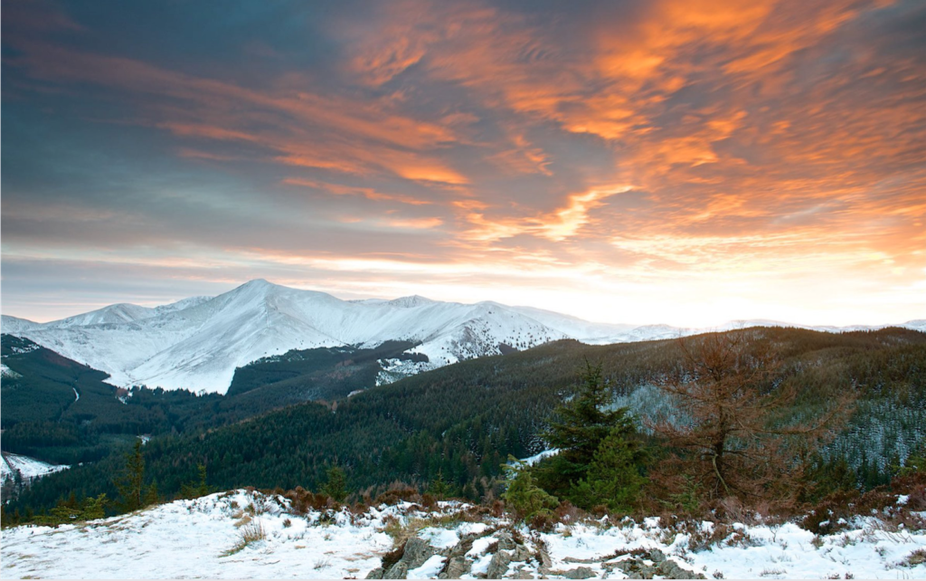 Whinlatter Forest - Winter Wonders of the Lake District
