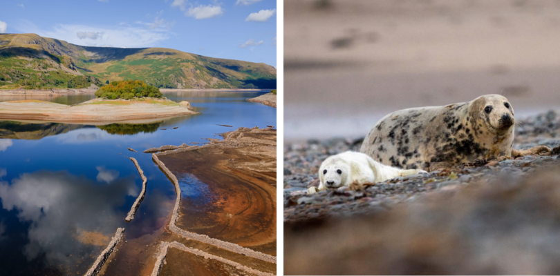 Haweswater and Seal Spotting off the Cumbrian Coast